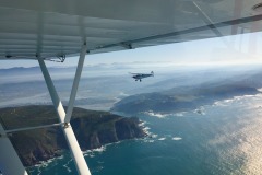 Lady Bush Pilot - African Tour - Flap 4