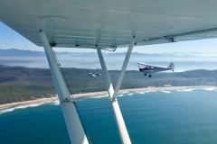 Lady Bush Pilot - African Tour - Flap 4