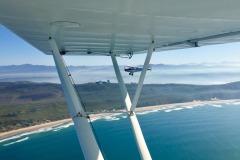 Lady Bush Pilot - African Tour - Flap 4