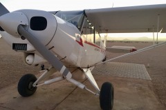 Lady Bush Pilot - African Tour - Flap 4
