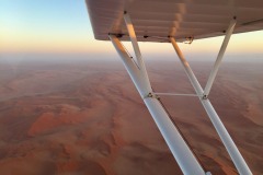 Lady Bush Pilot - African Tour - Flap 4