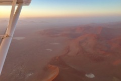 Lady Bush Pilot - African Tour - Flap 4