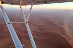 Lady Bush Pilot - African Tour - Flap 4