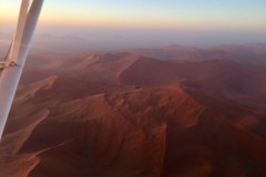 Lady Bush Pilot - African Tour - Flap 4