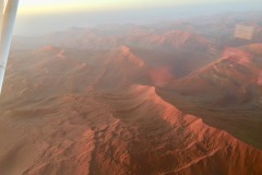 Lady Bush Pilot - African Tour - Flap 4