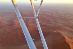 Lady Bush Pilot - African Tour - Flap 4