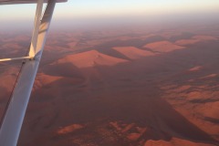 Lady Bush Pilot - African Tour - Flap 4
