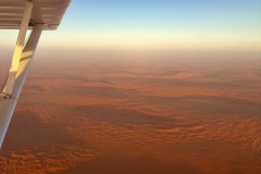 Lady Bush Pilot - African Tour - Flap 4