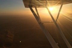 Lady Bush Pilot - African Tour - Flap 4