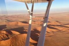 Lady Bush Pilot - African Tour - Flap 4