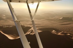 Lady Bush Pilot - African Tour - Flap 4