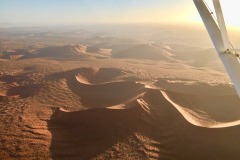 Lady Bush Pilot - African Tour - Flap 4