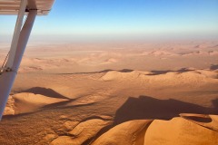 Lady Bush Pilot - African Tour - Flap 4