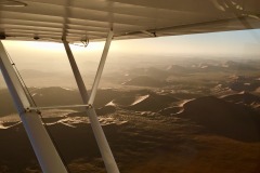 Lady Bush Pilot - African Tour - Flap 4