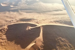 Lady Bush Pilot - African Tour - Flap 4
