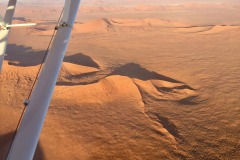 Lady Bush Pilot - African Tour - Flap 4