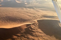Lady Bush Pilot - African Tour - Flap 4