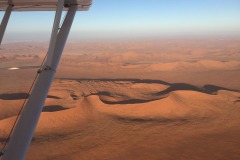 Lady Bush Pilot - African Tour - Flap 4