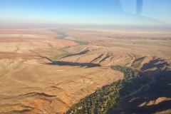 Lady Bush Pilot - African Tour - Flap 4