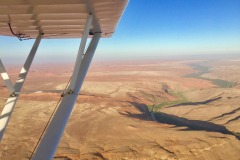 Lady Bush Pilot - African Tour - Flap 4