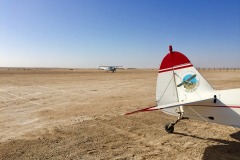 Lady Bush Pilot - African Tour - Flap 4