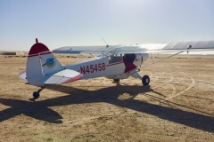Lady Bush Pilot - African Tour - Flap 4
