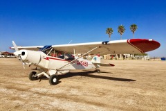 Lady Bush Pilot - African Tour - Flap 4
