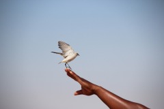 Lady Bush Pilot - African Tour - Flap 4