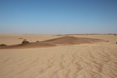 IMG_7754