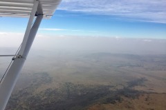 Lady Bush Pilot - African Tour - Flap 4