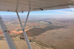 Lady Bush Pilot - African Tour - Flap 4