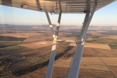 Lady Bush Pilot - African Tour - Flap 4