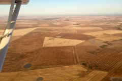 Lady Bush Pilot - African Tour - Flap 4