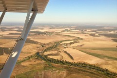 Lady Bush Pilot - African Tour - Flap 4