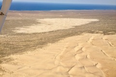 Lady Bush Pilot - African Tour - Flap 4