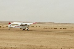 Lady Bush Pilot - African Tour - Flap 4