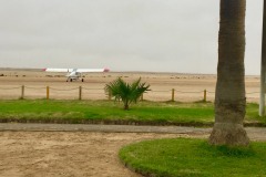 Lady Bush Pilot - African Tour - Flap 4