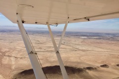 Lady Bush Pilot - African Tour - Flap 4
