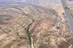Lady Bush Pilot - African Tour - Flap 4