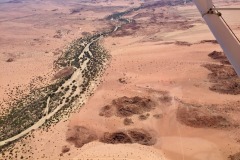 Lady Bush Pilot - African Tour - Flap 4