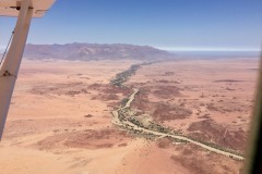 Lady Bush Pilot - African Tour - Flap 4