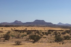 Lady Bush Pilot - African Tour - Flap 4