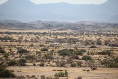 Lady Bush Pilot - African Tour - Flap 4