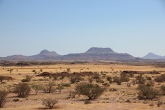 Lady Bush Pilot - African Tour - Flap 4