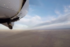 Lady Bush Pilot - African Tour - Flap 4