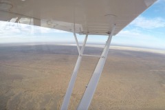Lady Bush Pilot - African Tour - Flap 4