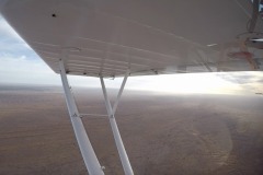 Lady Bush Pilot - African Tour - Flap 4