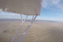 Lady Bush Pilot - African Tour - Flap 4