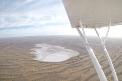 Lady Bush Pilot - African Tour - Flap 4