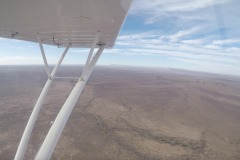 Lady Bush Pilot - African Tour - Flap 4